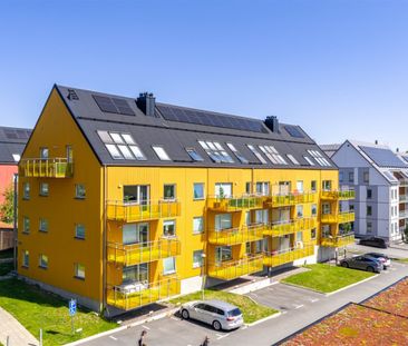 Sagogatan 1A - Foto 1