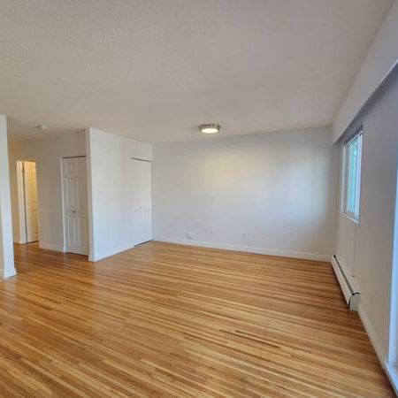 Large Cat Friendly Studio Unit With Laundry Steps From Commercial Dr - Photo 3