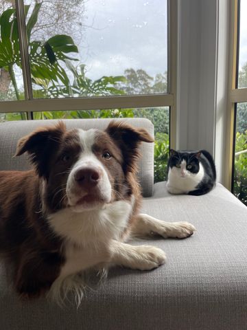 Castle Hill - Photo 2