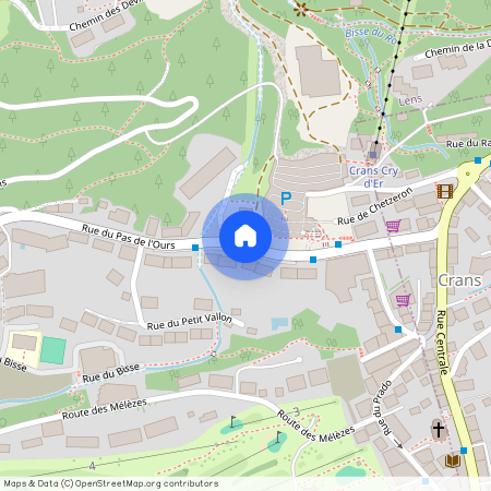 Télérésidence, Crans-Montana