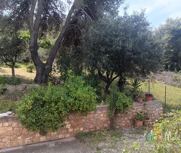 Apartment for rent - Photo 6