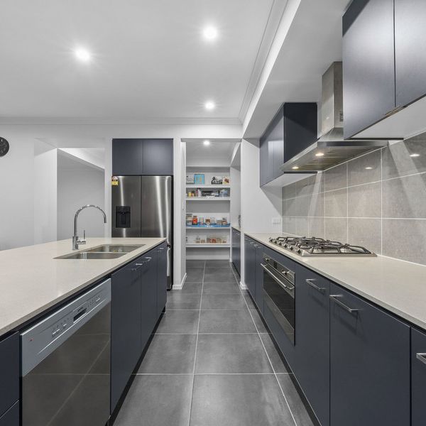 1 Soapberry Circuit, Collingwood Park QLD 4301 - House For Rent - $760 | Domain - Photo 1