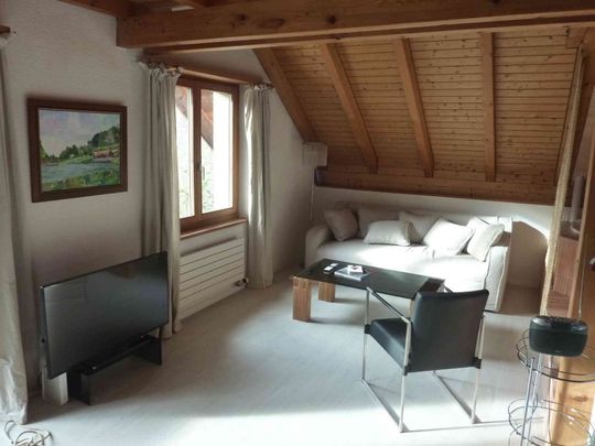 2.5 Zimmer, 53 m², 1. Stock - Photo 1