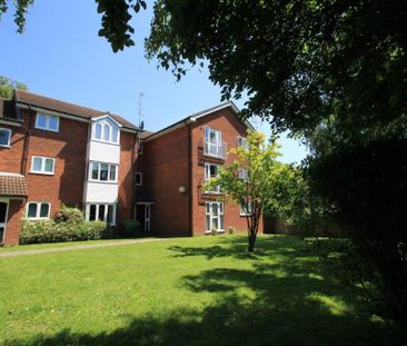 1 bedroom ground floor flat to rent - Photo 4