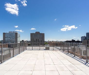 Le Neuf Cents Apartments for rent in Ville-Marie - Photo 5