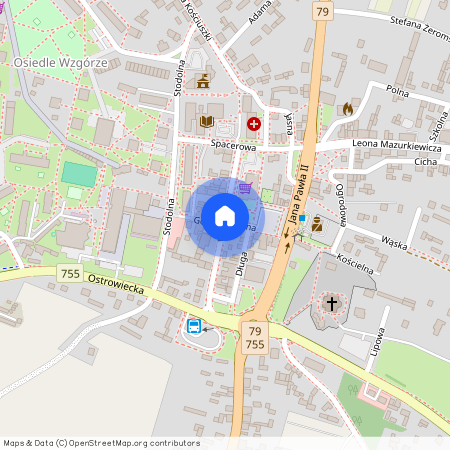 Ożarów, Ożarów, opatowski, świętokrzyskie