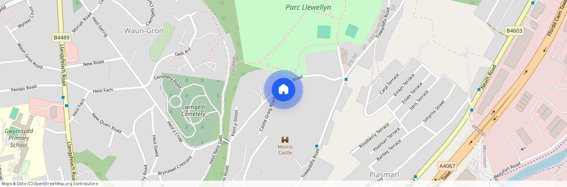 Cnap Llwyd Road, Morriston, SA6