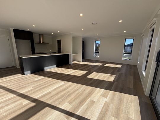 15 Herringbone Street, Appleby, Tasman - Photo 1