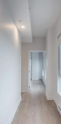 2 CH - 1 SDB - Montréal - $2,480 /mo - Photo 1