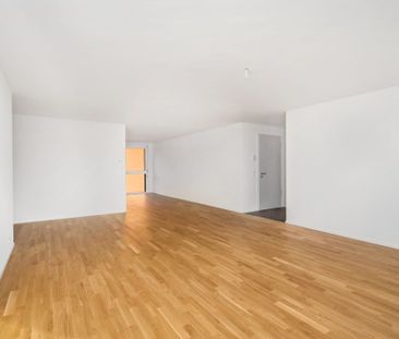 Appartement proche de la gare – Wohnung in der Nähe des Bahnhofs - Photo 5