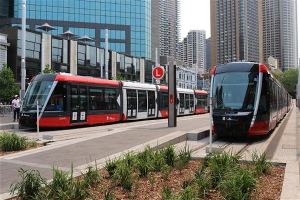 CEDAR/413 ANZAC Parade, Kingsford NSW 2032 - Studio For Rent | Domain - Photo 1