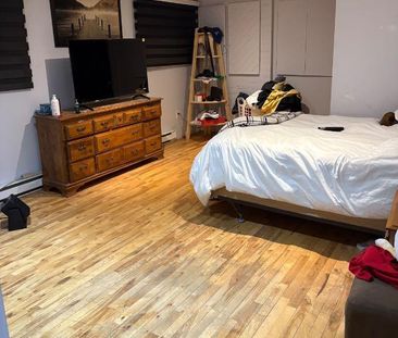 Grand 3 1/2 à louer Metro Montmorency - Photo 3