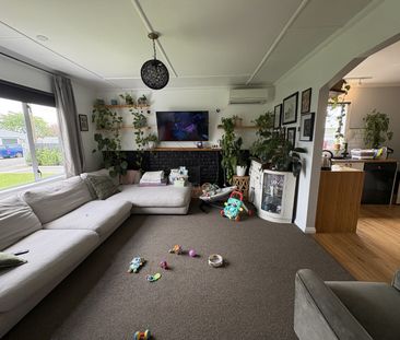 604b Elm Road, Akina - Photo 3