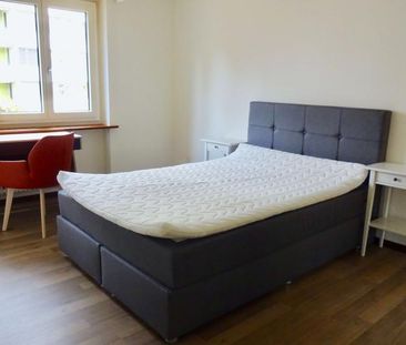 Mickey #2 - Experience 60's Charm in Zürich's Green Oasis - Photo 2