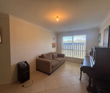 Elegant Eucalyptus - Photo 2