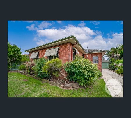 97 Fernleigh Road, Turvey Park, NSW 2650 - Photo 4
