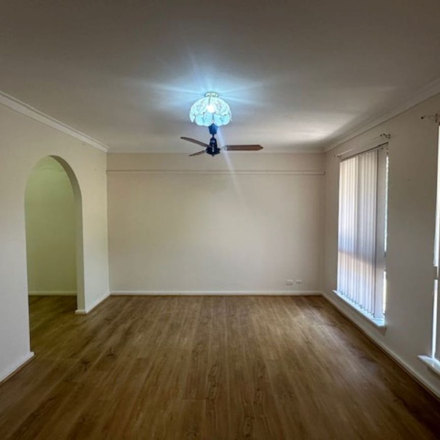 Spacious Yard - Photo 1