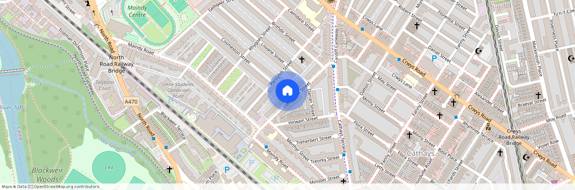 Llantrisant Street, CF24 4JE, Cathays