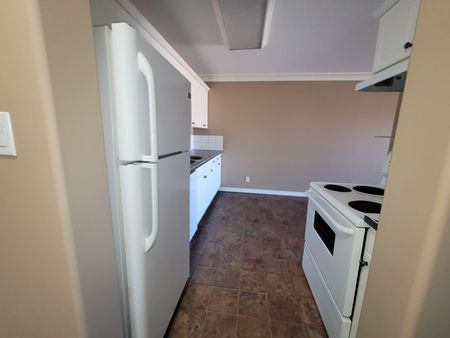 1 Bedroom Apartment w/ In-Suite Laundry!!! - Photo 2