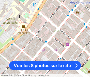 1975 Maisonneuve Blvd West - Photo 1