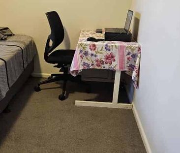 Mt Eden Wairiki road One bedroom - Photo 4