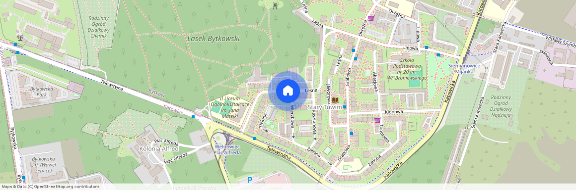 ul. Leśna, Centrum, Siemianowice Śląskie, śląskie