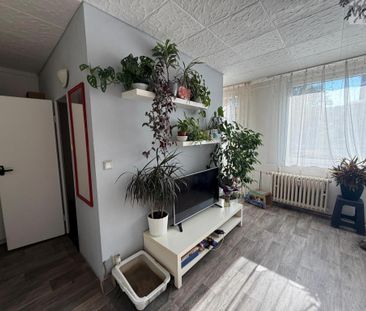 Pronájem bytu 1+1 26 m2 - Fotografie 5