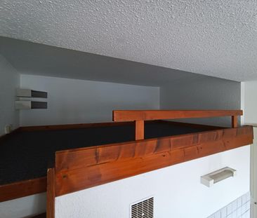 Location Appartement 1 pièce 19m² GRENOBLE 38000 - Photo 2