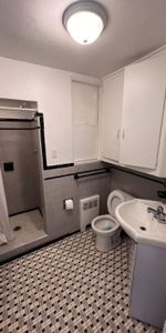 NEAR MCGILL U, GORGEOUS AND RENOVATED 1½ (pateau Mont Royal) - Photo 4