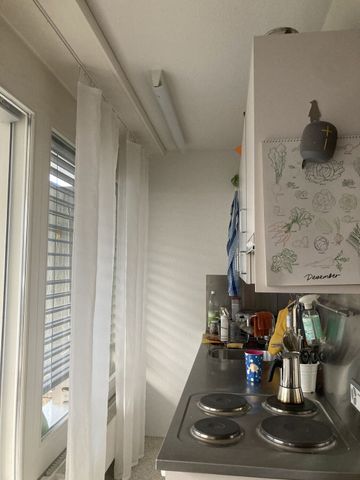 2-ROOM DUPLEX IN SPIEGEL B. BERN (BE), FURNISHED, TEMPORARY - Photo 3