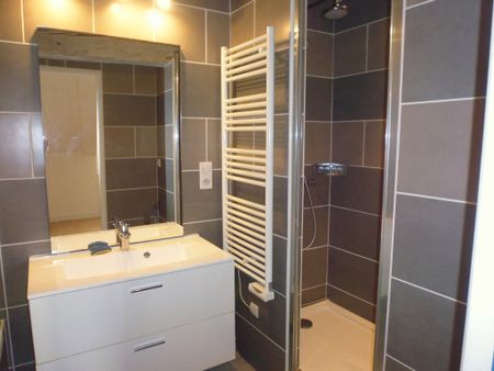 Appartement de charme situé en coeur de ville - Photo 5