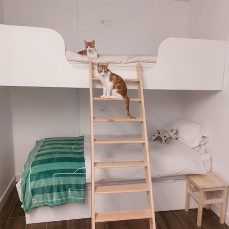 Piso de alquiler en Carrer Sant Nicolau, 38, Benissa pueblo - Photo 2