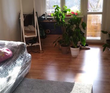 Pronájem bytu 2+1, Obránců Míru, Most - Photo 1