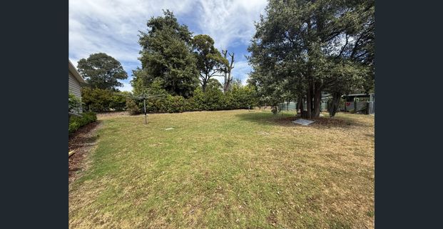 Clean and Quiet - Photo 1