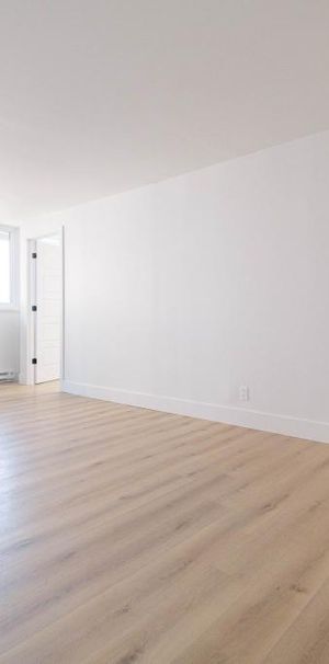 LIBRE - Face au Collège Bois-de-Boulogne Ahuntsic Montreal - appartement/ logement à louer - Photo 1