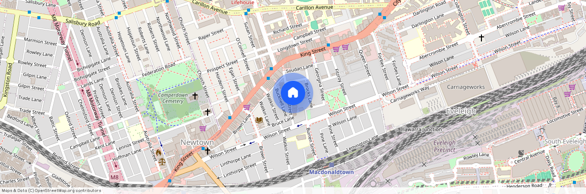 18 Bucknell Street, NSW 2042, Newtown