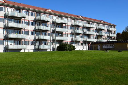 7800, Skive - Photo 3