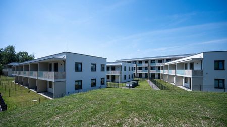 WIENER NEUSTADT XI/1 - Photo 2