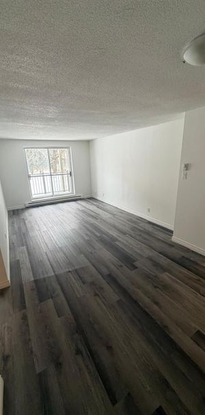 2 CH - 1 SDB - Gatineau - $1,699 /mo - Photo 1