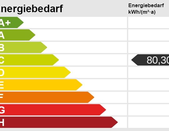 Großzügige 2-Zimmer-Wohnung mit schöner Terrasse in kernsaniertem Altbau im Rastatter Zentrum - Photo 1
