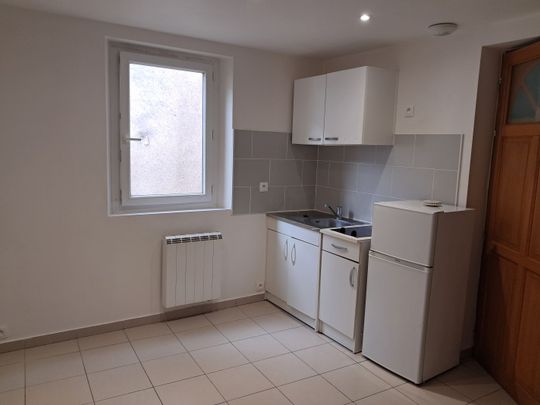 Location Appartement 1 pièce 20m² SENS 89100 - Photo 1