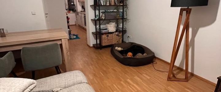 Nachmieter ab 01.02.2026 gesucht - Foto 1