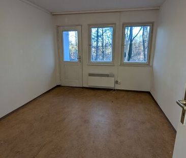 Wohnen auf Zeit am Dutzendteich bis Ende Juni 2027!! 2 Zimmer ab so... - Foto 6