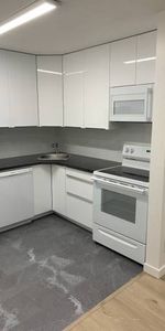 Large Renovated 2 Bedroom in Great location - Photo 3