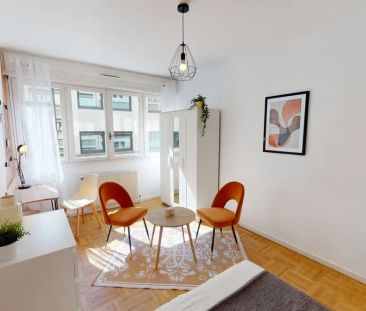 17 rue des Emeraudes 17, Lyon - Photo 3