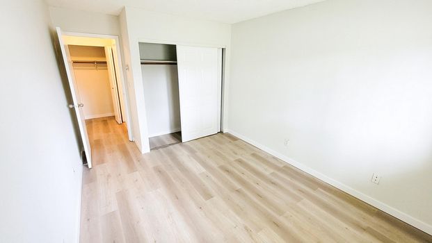 Pinetree Apartments - Photo 1