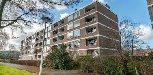 Paramaribostraat 0ong, 2315 Leiden, Nederland - Foto 2