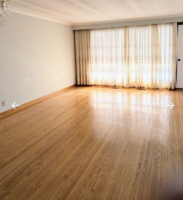 For Lease - 71 Sorlyn Avenue Unit# Main Floor, Toronto, Ontario - Photo 1