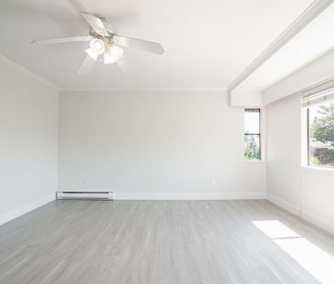 Spacious 4 Bedroom Home Centrally Located in Kitsilano - - Photo 5