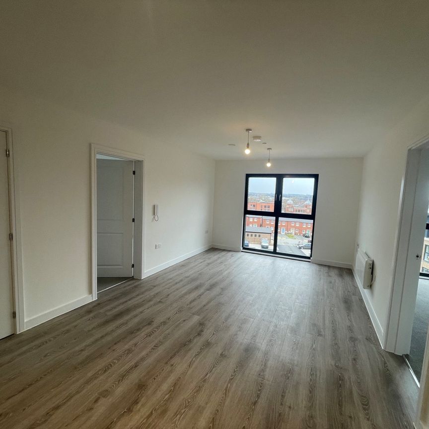 Erasmus Drive - Photo 1